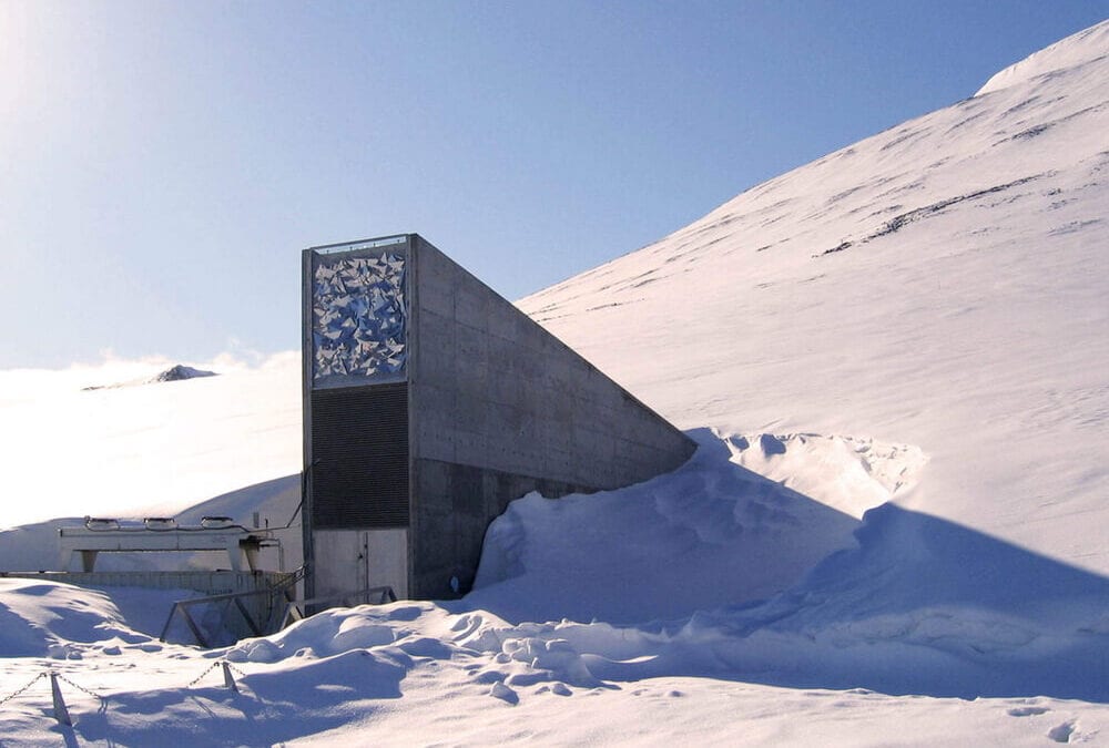 Frøhvelv Svalbard
